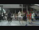 サイバー眞鍋かをり