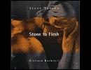 Steve Jansen Richard Barbieri   Sleepers Awake