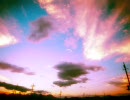 【テニミュ】「Season」を弾いてみた