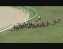 競馬予想～ちめと社員の予想動画・秋華賞～