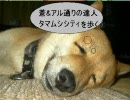 萌えもんを二人で実況してみた　Part21