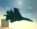 AceCombatZERO　△ボタン押し続けてプレイ：＃12[臨界点]