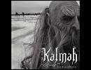 Kalmah - Bitter Metallic Side