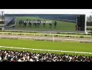 第14回 秋華賞（2009年京都競馬場より）