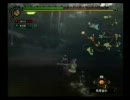 【モンハン３】下手っぴな主がリア友と実況プレイ５【Ｗｉｉ】