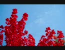 【Trance】Andy E - Just For You (original mix)【Full】