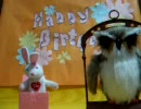 Happy Birthday♪　真さん