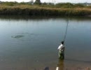 サケ釣り本流釣り編