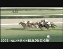 【競馬】第70回菊花賞　出走馬