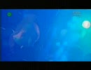 Esbjörn Svensson Trio - Viaticum
