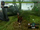 MHP2G【Honey Hunter】上位ナルガクルガ 社長ソロ ランス 第一弾