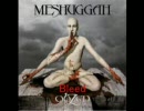 プログレデスラッシュメタル　meshuggah～Obzen(2)