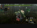 【MHP2G実況】Ｇ級をライトボウガンで一周ひとり旅#5ババコンガ亜種