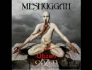 プログレデスラッシュメタル　meshuggah～Obzen(4)
