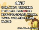 安すぎる名作？超仲間集めゲーRPGを実況プレイ　その１３・中編