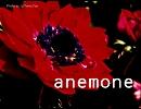 anemone