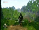 Fable2 マスターチーフを目指しながら実況プレイ　part12