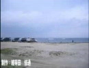 You Waku（誘惑）【初音ミク】