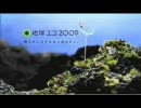 pm eco2009