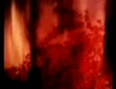 Coil - Heartworms
