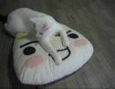 【チとナ】うちの猫のダラダラ遊び