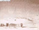 【最恐ホラーゲー】1999ChristmasEveを実況プレイ　part19