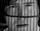 Grant Lee Buffalo／Mockingbirds 【PV】