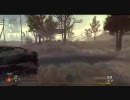 【CoD】CallOfDuty ModernWarfare2　マッププレビュー３【MW2】