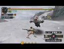 どう考えても無理ゲーオワタ式MHP2G part14