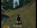 [実況] おぶおぶおぶおぶOblivion Part7