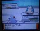 ポケモンSS　ごく普通（？）のレッド戦