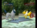 自分の好きなポケモン達でバトレボをプレイその８(２本立て）