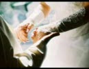 【カスが頑張った】Get Along Together【歌ってみた】