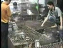中国の動物市場