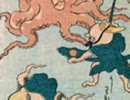 流行蛸の遊び3