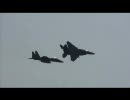 【航空自衛隊】F-15機動飛行②【2009小松】