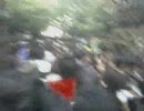 早稲田祭2009　大混雑 wasedasai2009