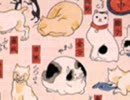 猫飼好五十三疋03