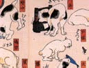 猫飼好五十三疋04
