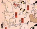 猫飼好五十三疋06