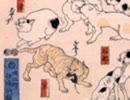 猫飼好五十三疋11