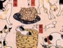 猫飼好五十三疋13