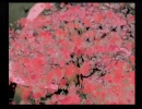 クズがPS2版大神を実況 Part8