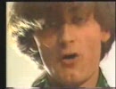 Hoodoo Gurus／Leilani