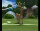 ポケモンバトルレボリューションランダムバトルダブル3