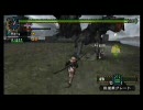 姉妹で通信プレイ、モンハン2ndG・その６