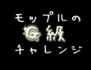 【MHP2G】モップルのG級チャレンジ！-そのMAD-【prologue for Ukamrubas】