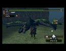 【MHP2G】リオレウス亜種 王の領域 解説【双剣】