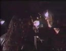 Primal Scream - ivy ivy ivy