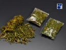 大麻所持・栽培は重大犯罪です